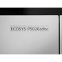 KYOCERA ECOSYS P5026cdw A colori 9600 x 600 DPI A4 Wi-Fi (1102RB3NL0)