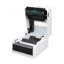 Citizen CT-S4500 203 x 203 DPI Con cavo e senza cavo Termica diretta Stampante POS (CTS4500XTEWX)