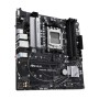 ASUS PRIME A620M-A-CSM AMD A620 Presa di corrente AM5 micro ATX (90MB1F10-M0EAYC)