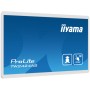 iiyama TW2424AS-W1 visualizzatore di messaggi Pannello piatto per segnaletica digitale 60,5 cm (23.8") Wi-Fi 250 cd/m² 4K Ultra