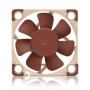 Noctua NF-A4x10 FLX Case per computer Ventilatore 4 cm (NF-A4x10 FLX)