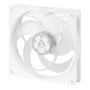 ARCTIC P14 PWM PST Case per computer Ventilatore 14 cm Trasparente, Bianco (ACFAN00221A)